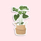 indoor plant with large rounded leaves in a basket sticker on white vinyl by elle and dina design