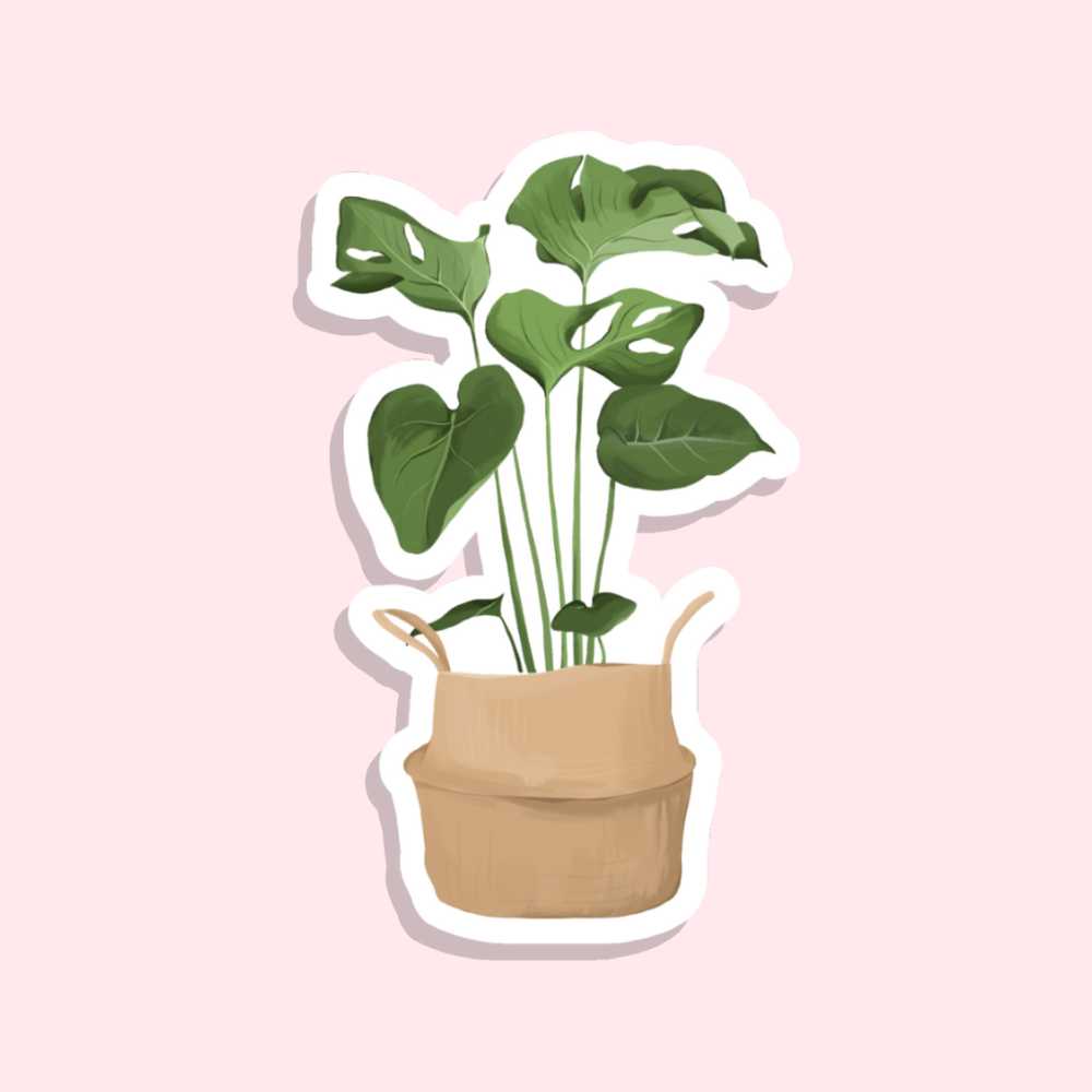 indoor plant with large rounded leaves in a basket sticker on white vinyl by elle and dina design